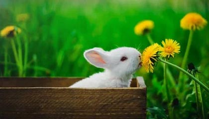 开云体育-中国男篮再下一城：轻取热火背后隐藏的胜利密码