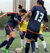 体坛风云：女子足球比赛成为焦点，掌声雷动的简单介绍