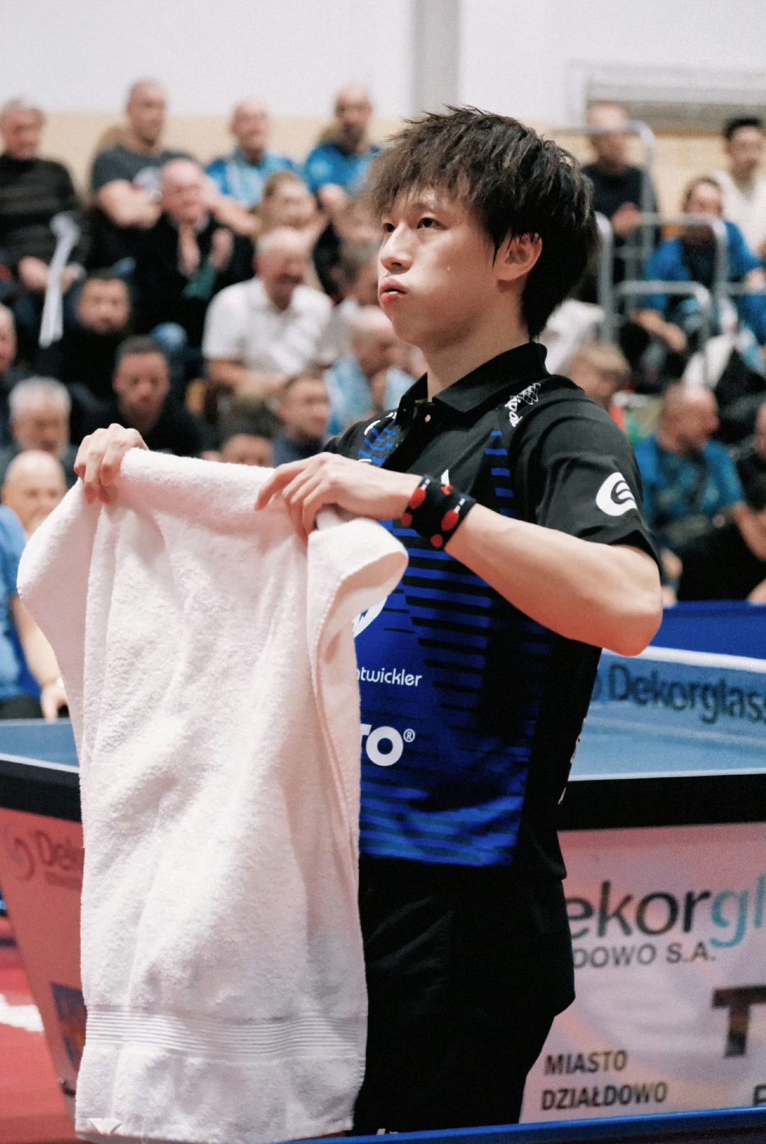 开云体育app-关于波兰队力克奥地利队，林高远刷新纪录的信息